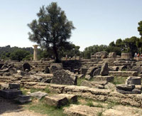 Roman columns knocked over in a field