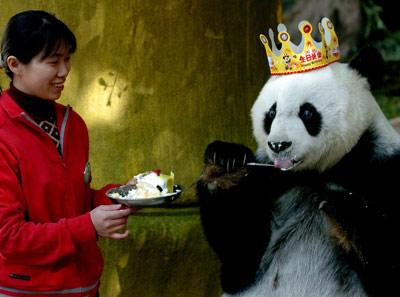 Woman feeding a panda dessert.