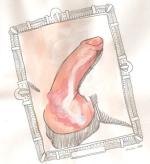 Penis drawing of a dick
