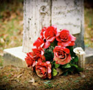 Red roses flowers on a grave at a cemetery