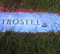Grave with Trostel engraved