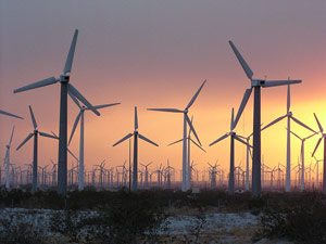 Windfarm blades of the windmills