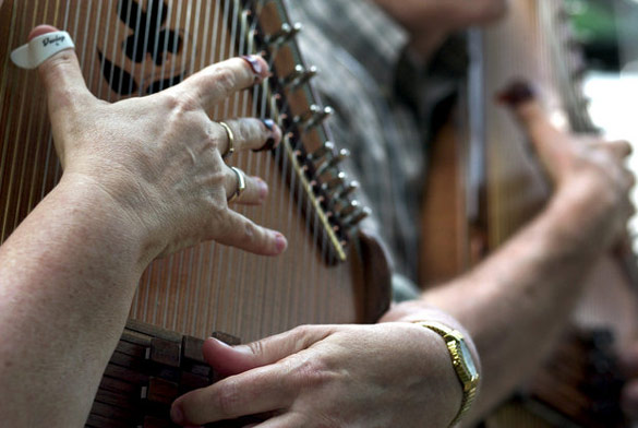 Autoharpist plucking