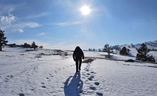 Bigfoot in the snow