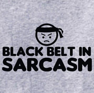 Black Belt in Sarcasm