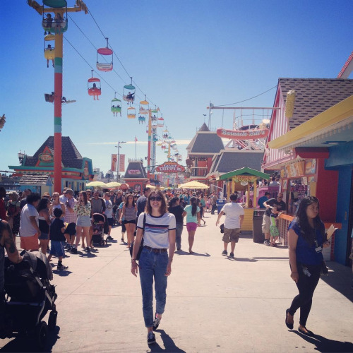 Boardwalk in summer