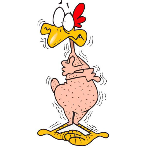 Cartoon chicken naked