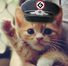 Grammar Nazi kitten