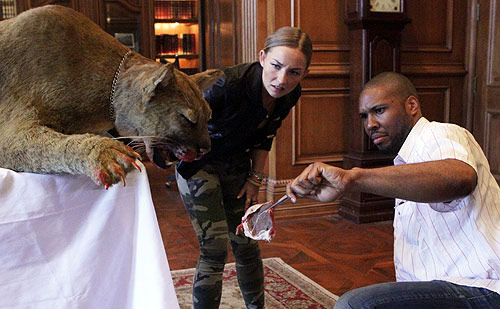 Mountain lion in soup at a restaurant