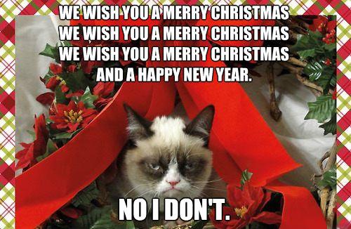 No Merry Christmas cat meme
