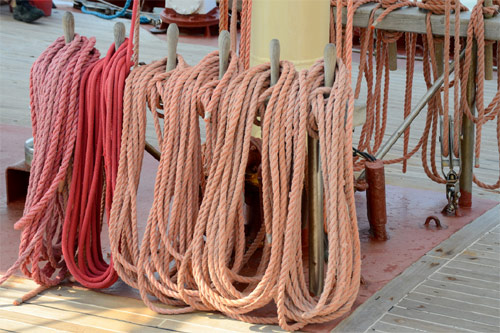 Pink salmon rope on a boat
