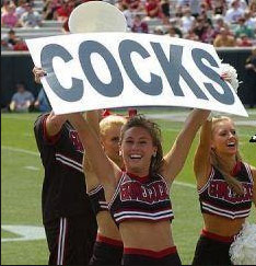 South Carolina SEC fan