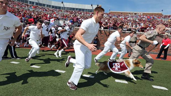 Texas A&M football team mascot