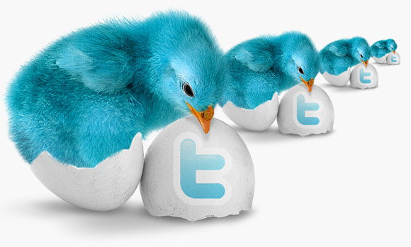 Twitter egg hatches