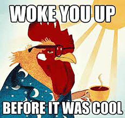 Woke you up, Rooster