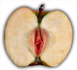 Half of an apple with a pussy core