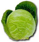 Cabbage