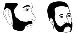 Friendly Mutton Chops sideburns