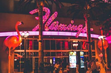 Flamingo Hotel in Vegas