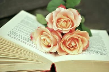 Flowers in a book of poetry, or more likely, a dictionary.