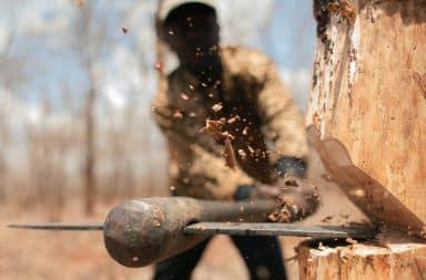 Chopping down tree with an axe