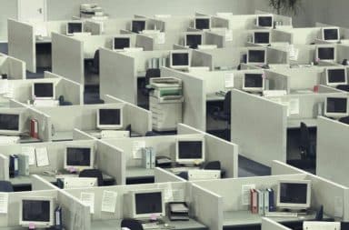 All the same type of computers in cubicles in an office