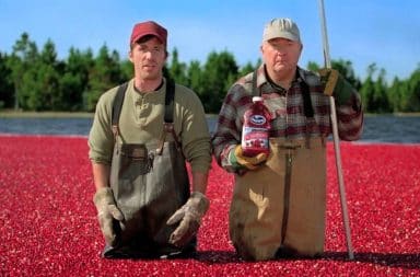 Ocean Spray Cranberry farmers standing knee deep in cranberries