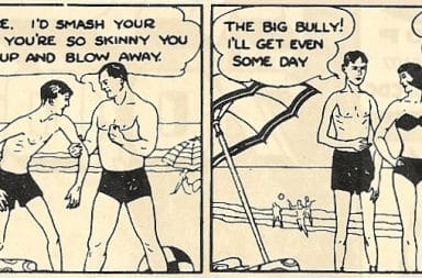 Beach Bully