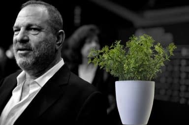 Harvey Weinstein and the potted plant he masturbated into at a restaurant in New York