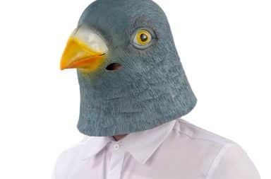 Man in pigeon mask costume