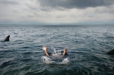 Human surrounded by sharks attacking in the ocean