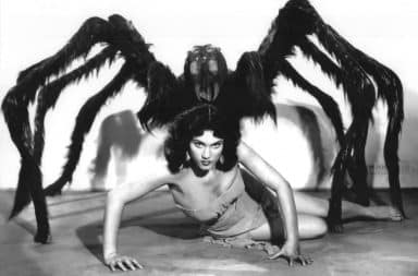 Tarantula woman