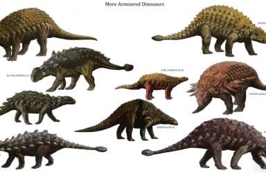 Dinosaurs