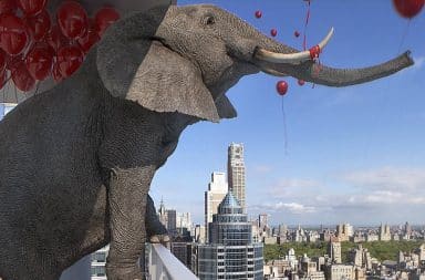 Elephant on a condo balcony