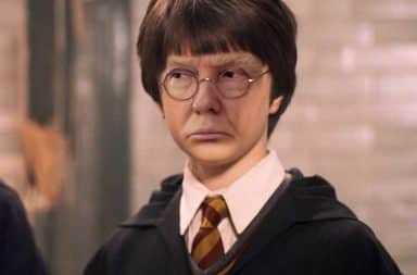 Harry Potter is...Don Trump?!