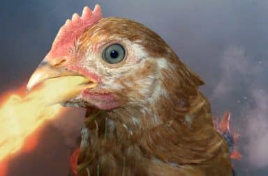 ahhhh a giant chicken breathing fire