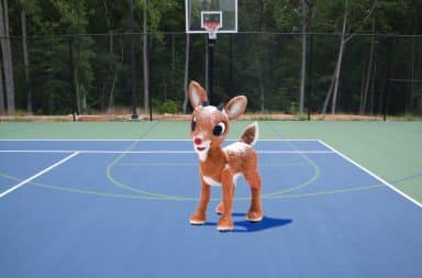 rudolph sucks at basketball