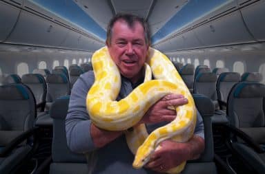 Say... a snake on a plane, why that's a heck of a premise, I should write that down