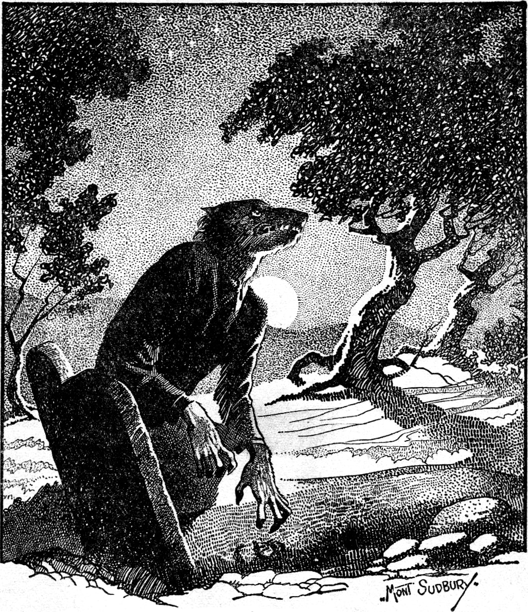 If You Turn Into A Werewolf During A Parent Teacher Conference Points In Case If You Turn Into A Werewolf During A Parent Teacher Conference Points In Case