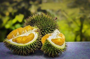 durian fruit how smelly