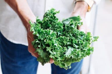 Person holding a bunch of kale