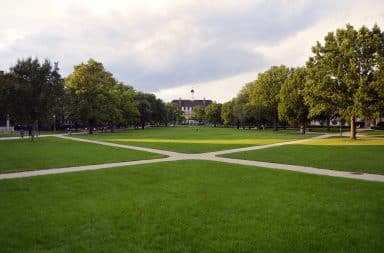 grass on the campus