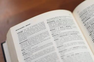 dictionary the book that's about words