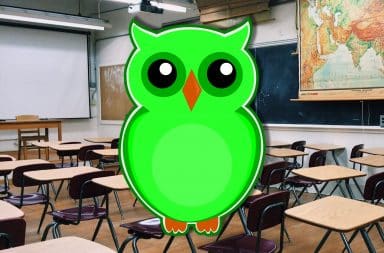 duolingo owl in the class