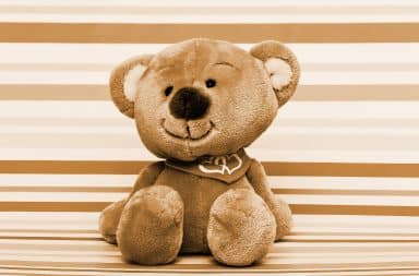 it's me, teddy bear!!