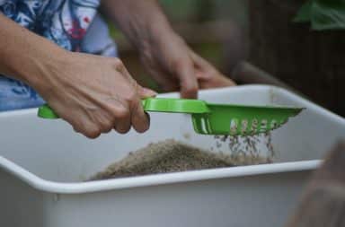 the litter box! gross!