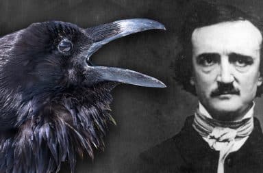 raven poe