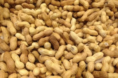 peanuts, the peaed nut