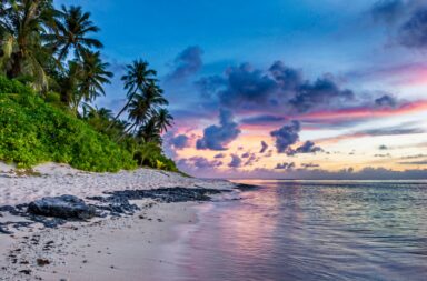 tropical beach