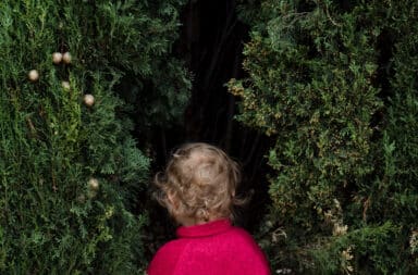 Toddler walking into bushes